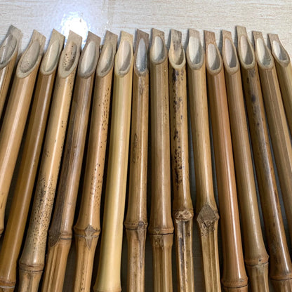 Premium Bamboo Reed Qalam Pen & Set - Handmade Arabic Calligraphy Dip Pens